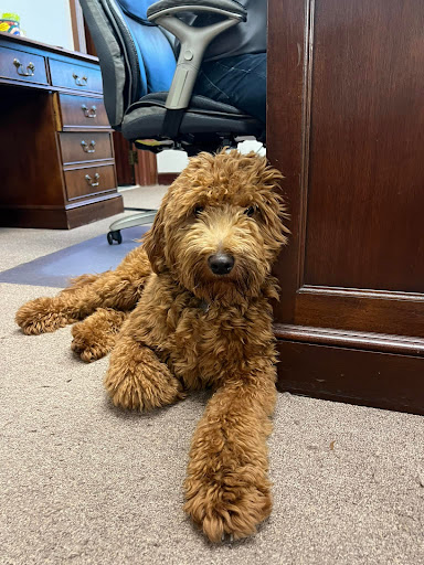 Nissan Dealer «Pat Peck Nissan - Gulfport», reviews and photos, 9480 US 49, Gulfport, MS 39503, USA