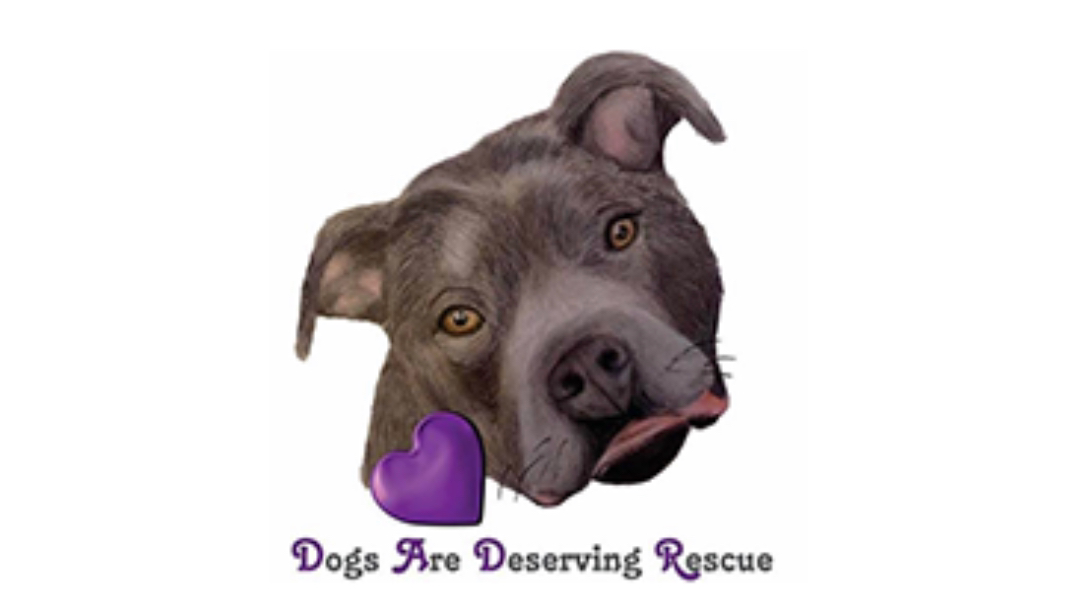Dogs Are Deserving Rescue