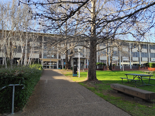 Canberra Institute of Technology (CIT)