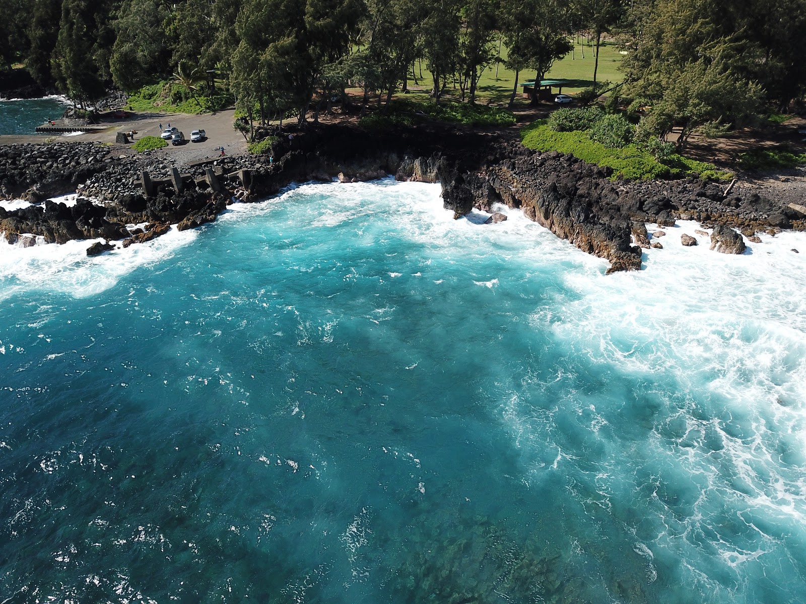 Foto von Laupahoehoe Beach befindet sich in natürlicher umgebung
