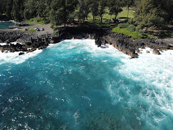 Laupahoehoe Beach'in fotoğrafı doğal alan içinde bulunmaktadır