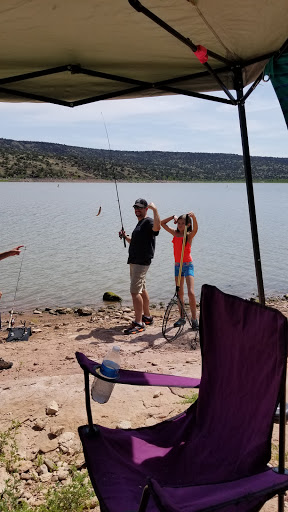 Mix 30 Liquid Cattle Feed Sales