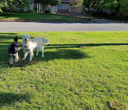 The Park in Heather Park photo