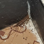 Photo n°1 de l'avis de Johann.o fait le 17/08/2023 à 20:01 sur le  Hotel Due Gemelli à Riomaggiore