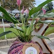 The Hinesville Downtown Farmers Market