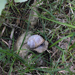 Photo n°28 de l'avis de Antimo.e fait le 09/08/2022 à 11:03 sur le  Apartments Oberhollenzer à Prags