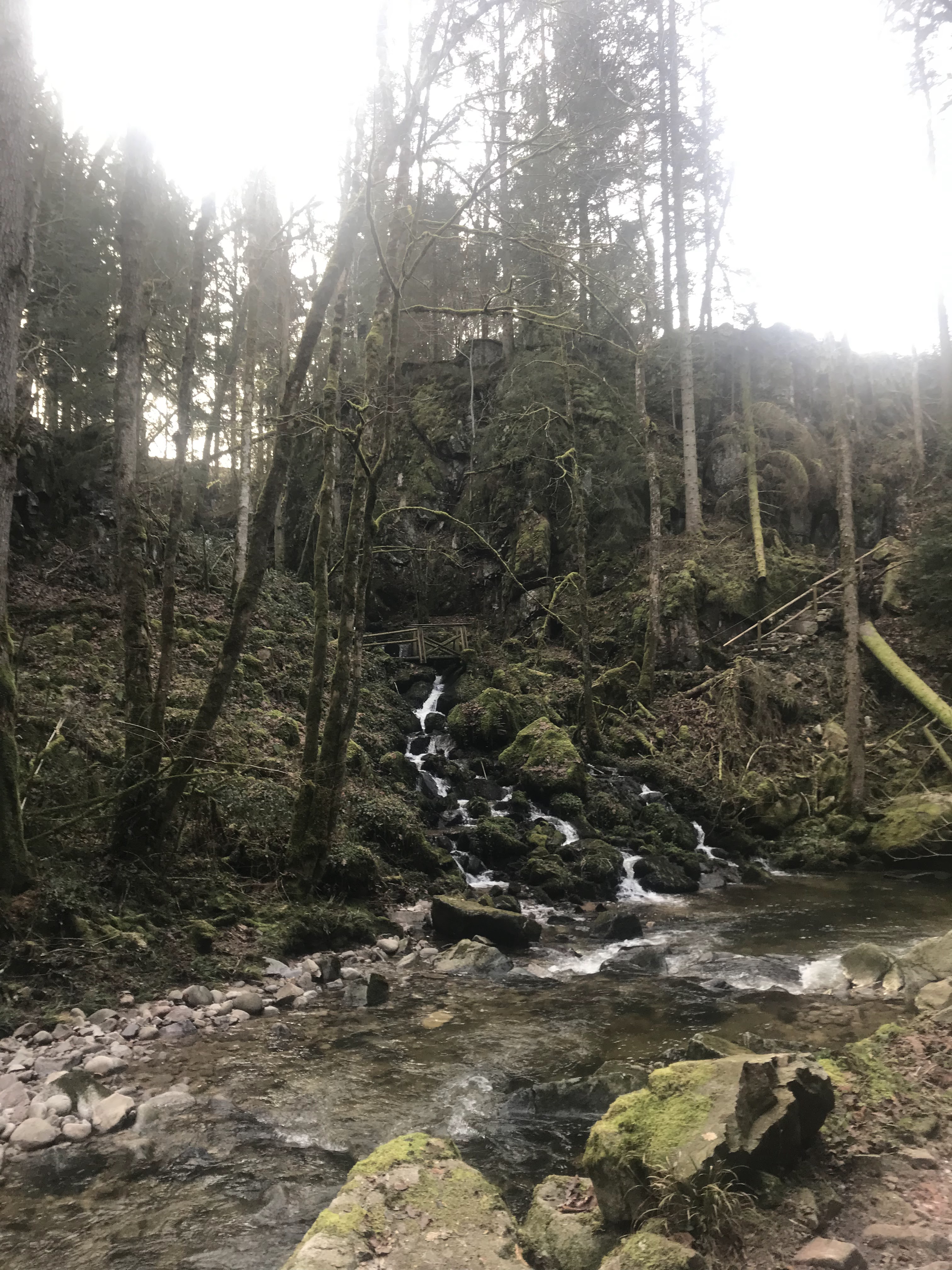 Photo n° 4 de l'avis de julien.u fait le 09/01/2019 à 16:48