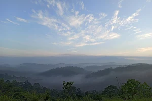 Vazhayur Hills image