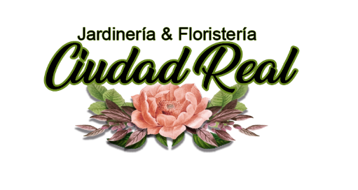 Floristeria y Jardineria Ciudad Real