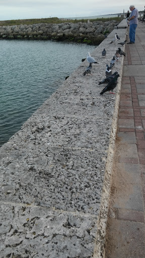 Marina «Fort Pierce City Marina», reviews and photos, 1 Avenue A, Fort Pierce, FL 34950, USA