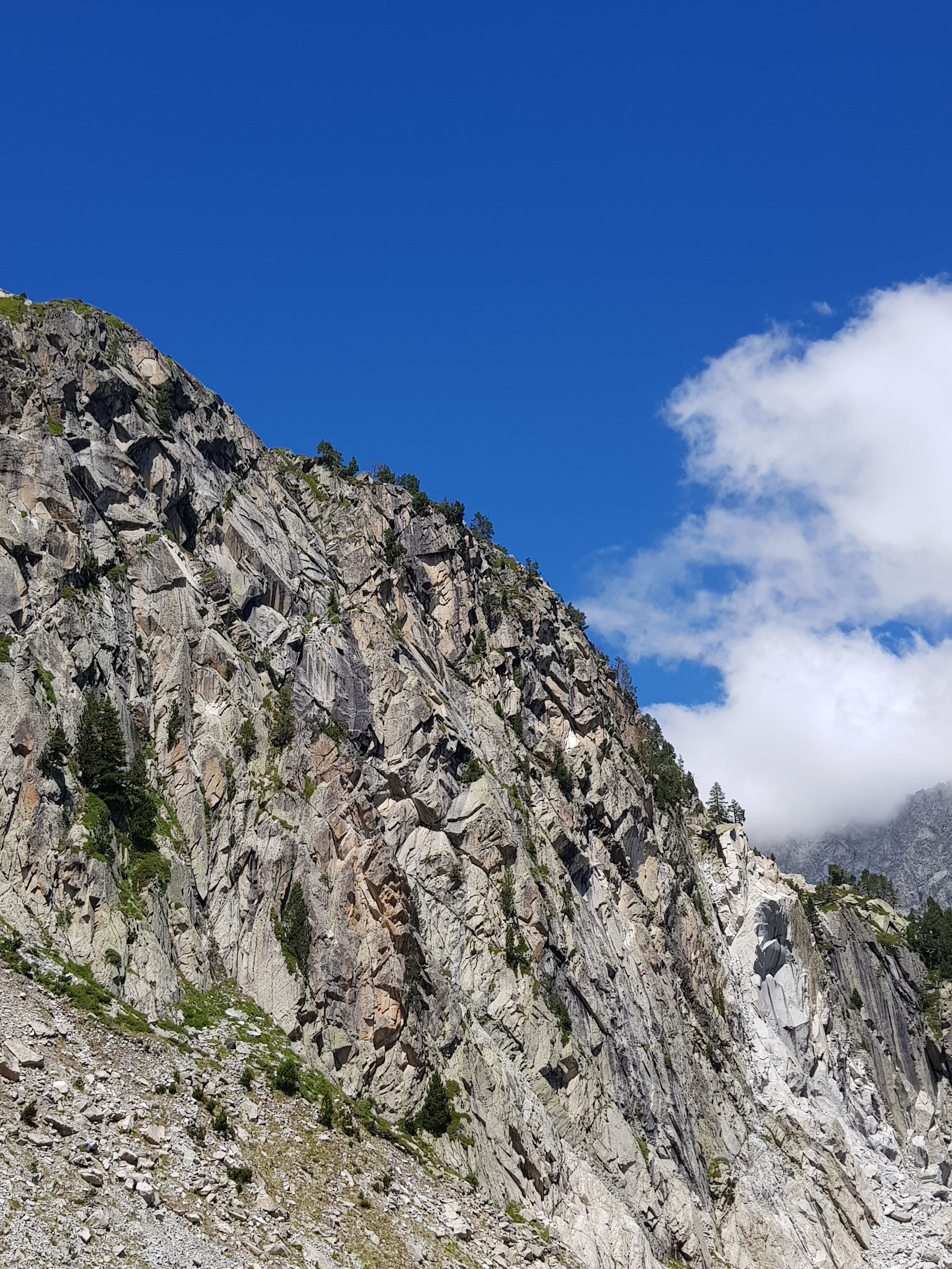 Photo n° 16 de l'avis de albert.u fait le 10/07/2019 à 13:10