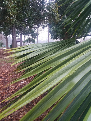 Public Golf Course «Landa Park Golf Course at Comal Springs», reviews and photos, 180 Golf Course Rd, New Braunfels, TX 78130, USA