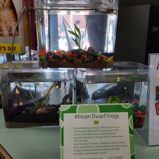 Toy Store «Learning Post», reviews and photos, 2761 100th St, Urbandale, IA 50322, USA