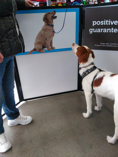 Pet Supply Store «Petco Animal Supplies», reviews and photos, 3430 W State St, Grand Island, NE 68803, USA