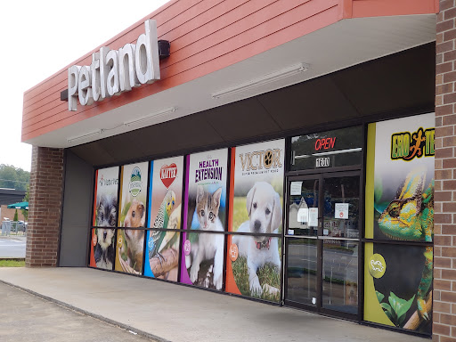 Pet Store «Petland», reviews and photos, 1600 Turner McCall Blvd, Rome, GA 30161, USA
