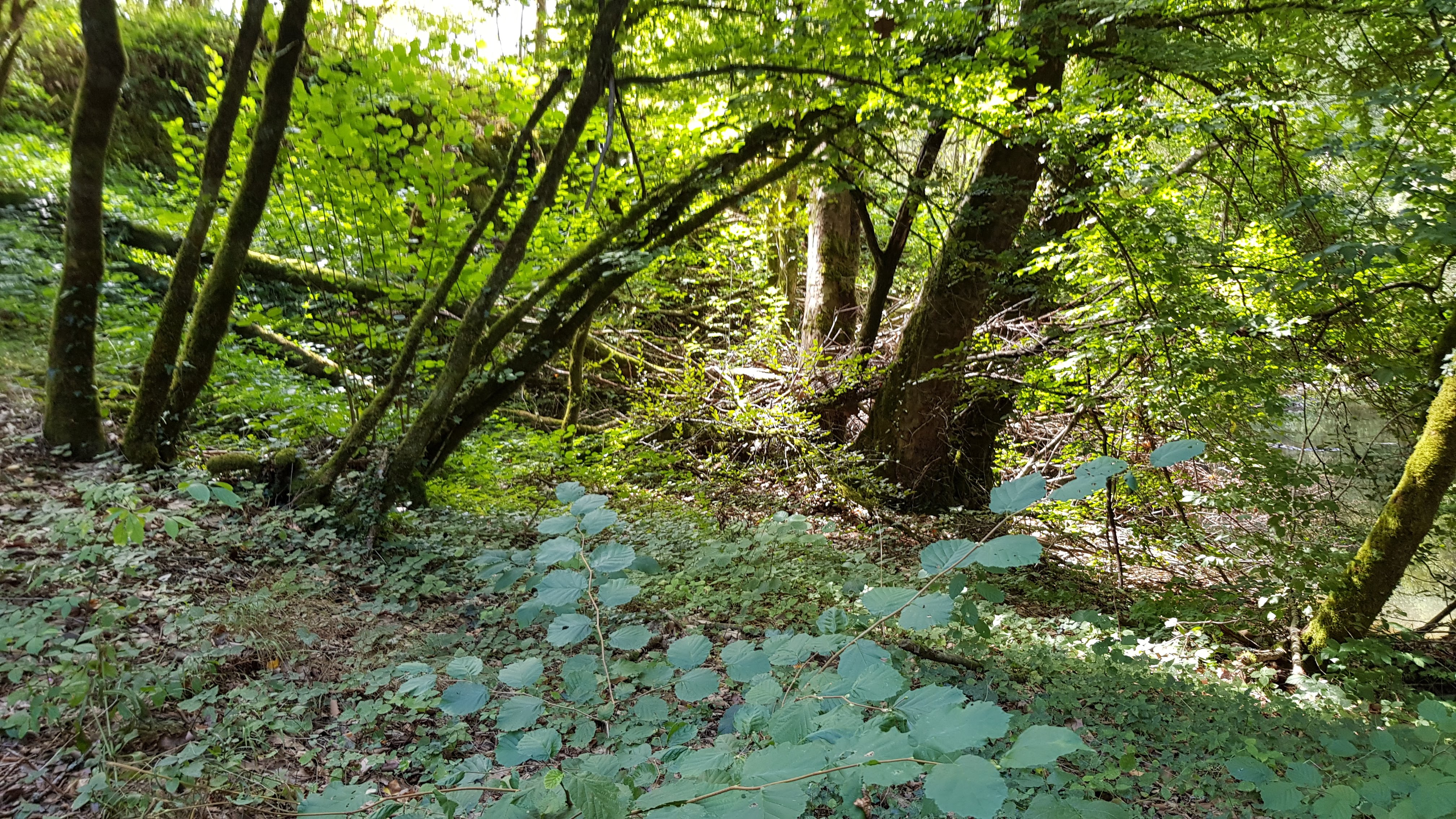 Photo n° 6 de l'avis de John.l fait le 11/09/2020 à 11:47