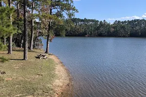 Baker Creek State Park image