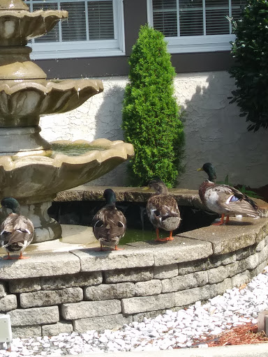 Supermarket «Gokul Indian Supermarket», reviews and photos, 209 S New Rd, Absecon, NJ 08201, USA