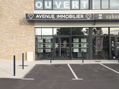 Avenue Immobilier à Pignan