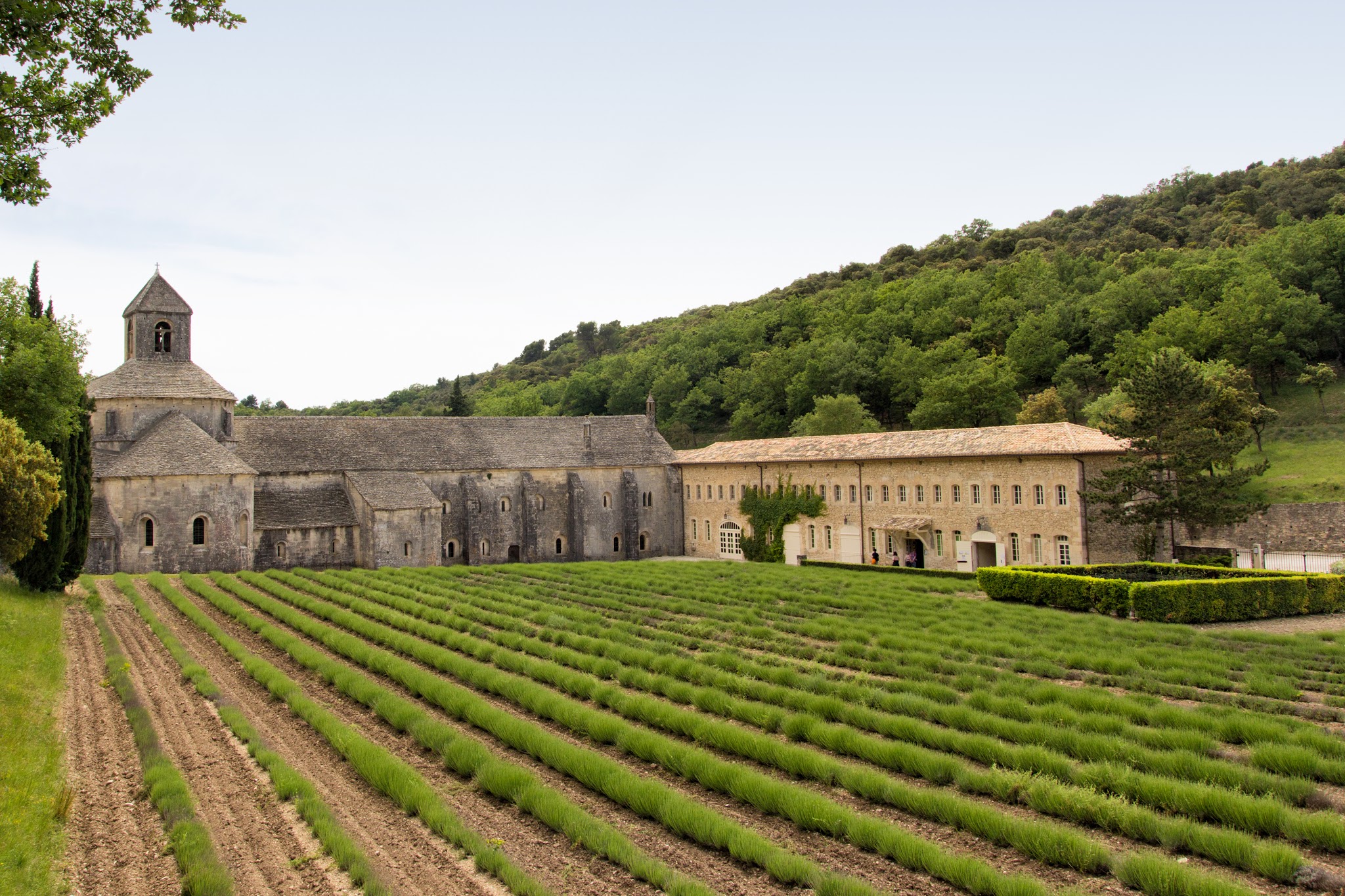 Photo n° 2 de l'avis de Pierre-Yves.u fait le 15/07/2019 à 09:32