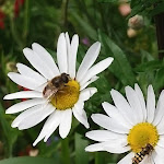 Photo n°3 de l'avis de Daniela.a fait le 29/07/2023 à 17:52 sur le  Kinigerhof - Agriturismo - Hofschank à Sexten