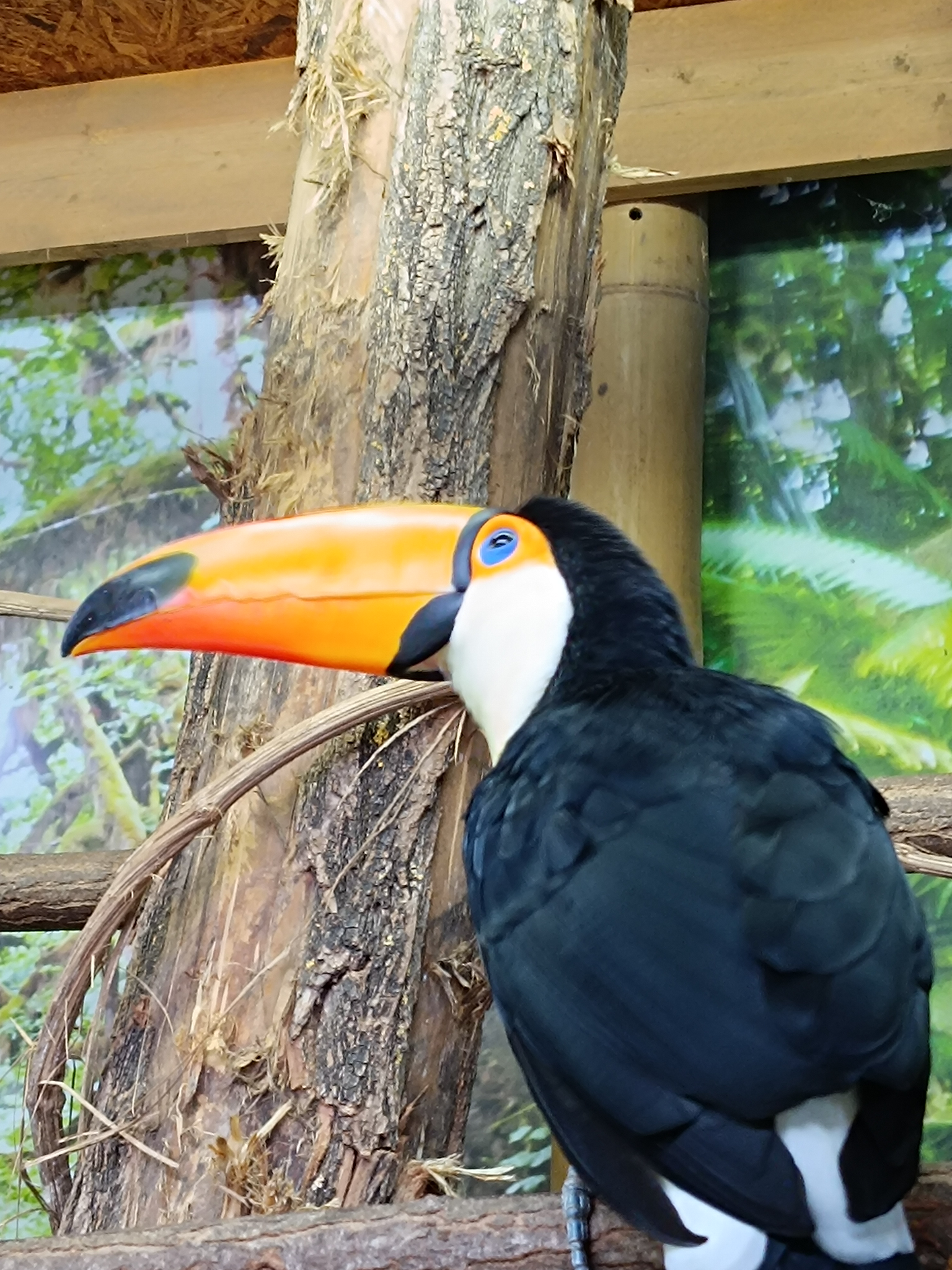 Photo n° 1 de l'avis de David.o fait le 10/09/2023 à 17:07