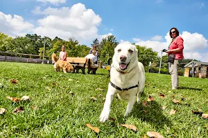 Central Dog Park image