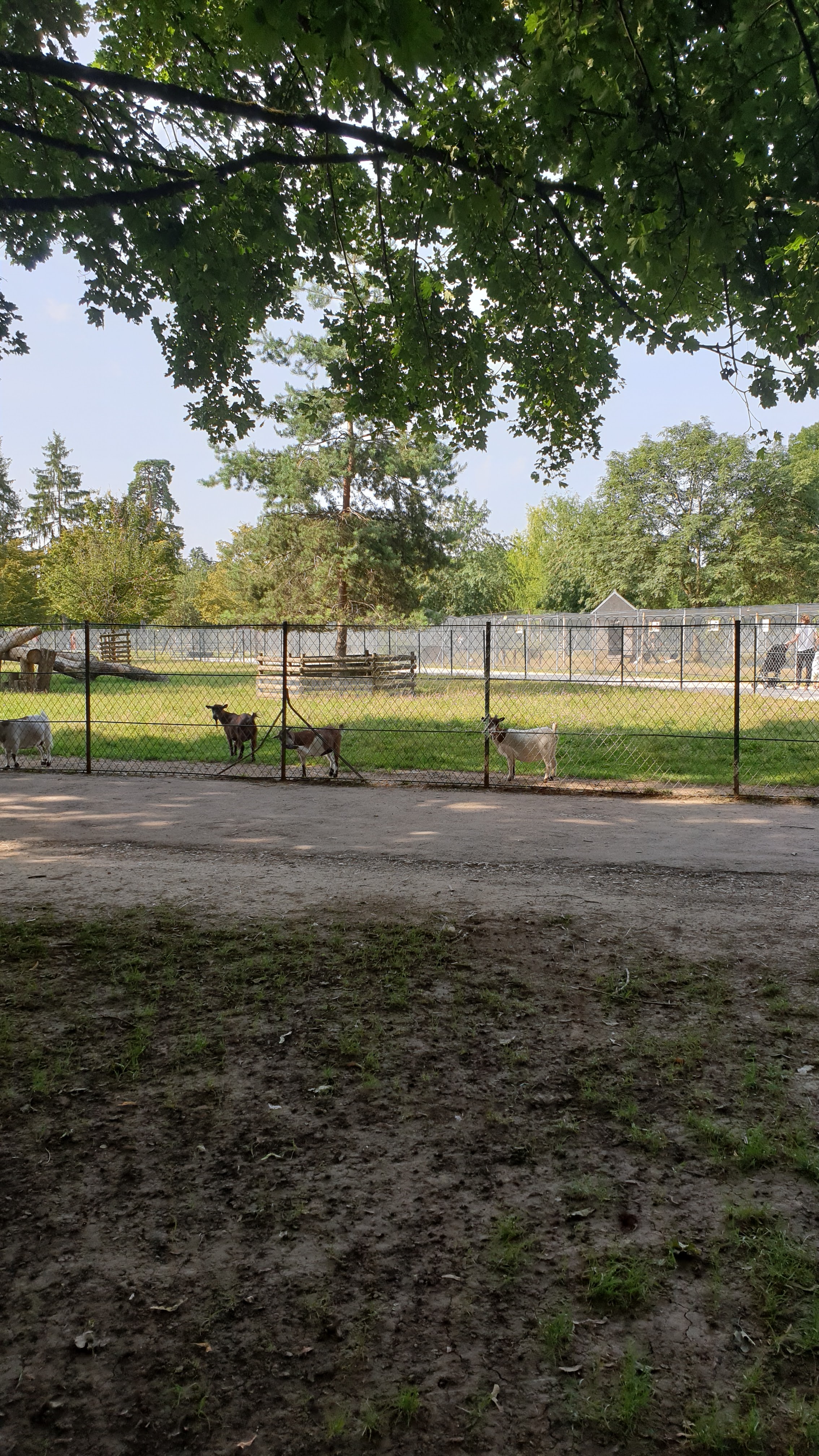 Photo n° 10 de l'avis de BMB.O fait le 14/09/2017 à 07:10