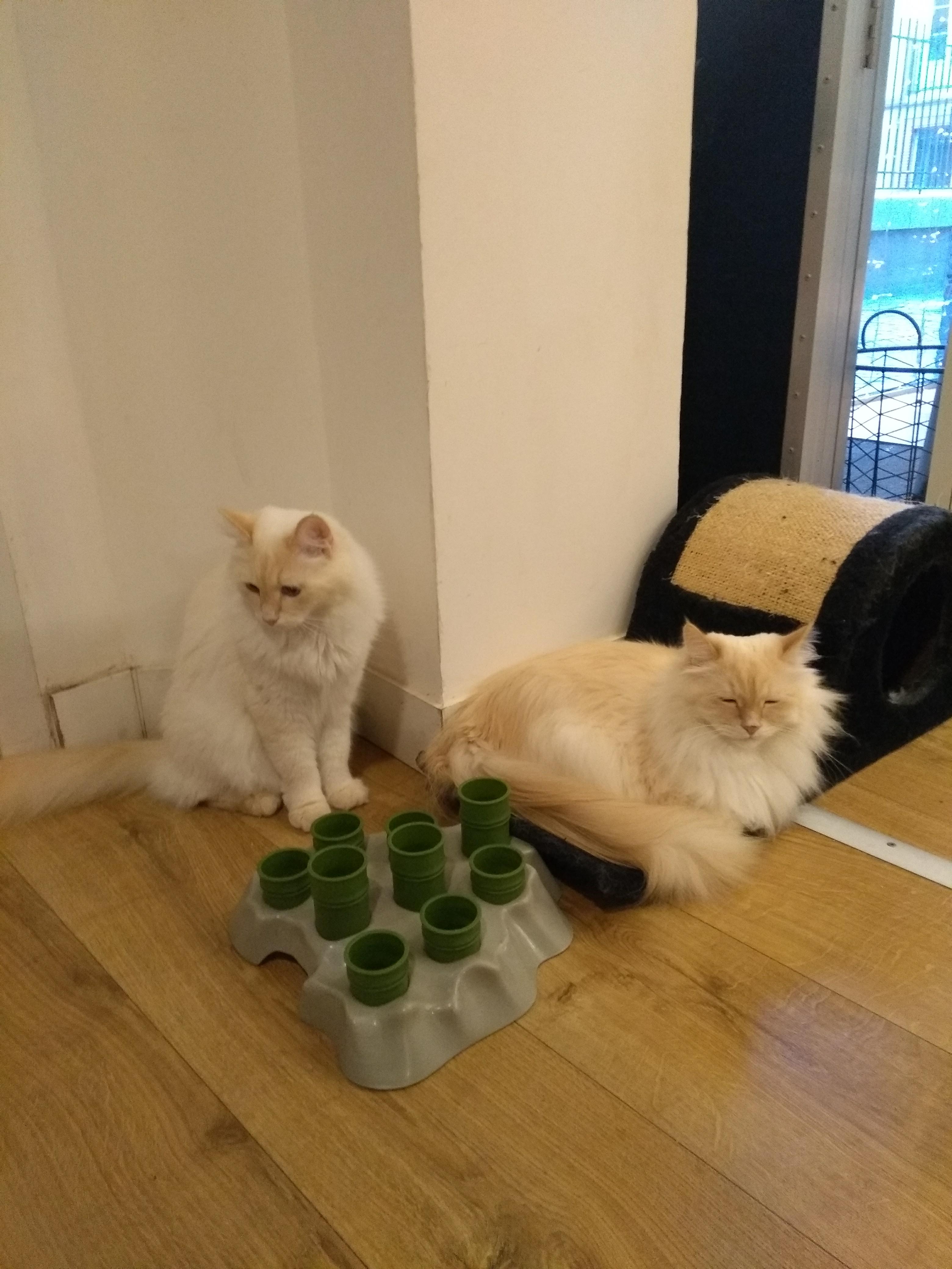 Photo n° 5 de l'avis de Romane. fait le 03/06/2019 à 21:26