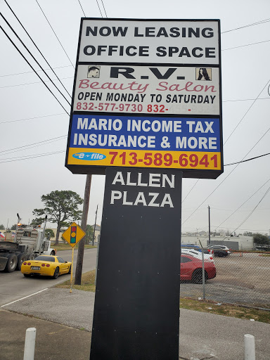 Mario Income Tax Service