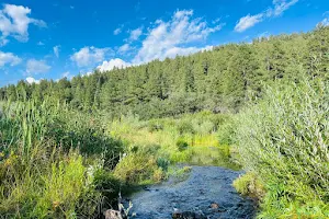 Coyote Creek State Park image