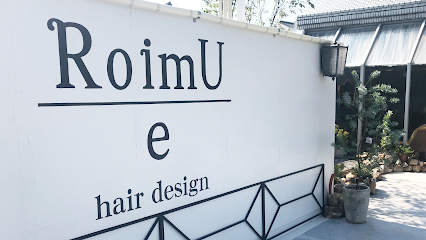 RoimU+e hair design