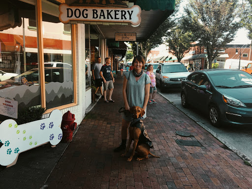 Bakery «Smoky Mountain Dog Bakery», reviews and photos, 102 N Main St, Waynesville, NC 28786, USA