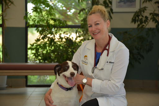 19581 Governors Hwy, Flossmoor, IL 60422, USA