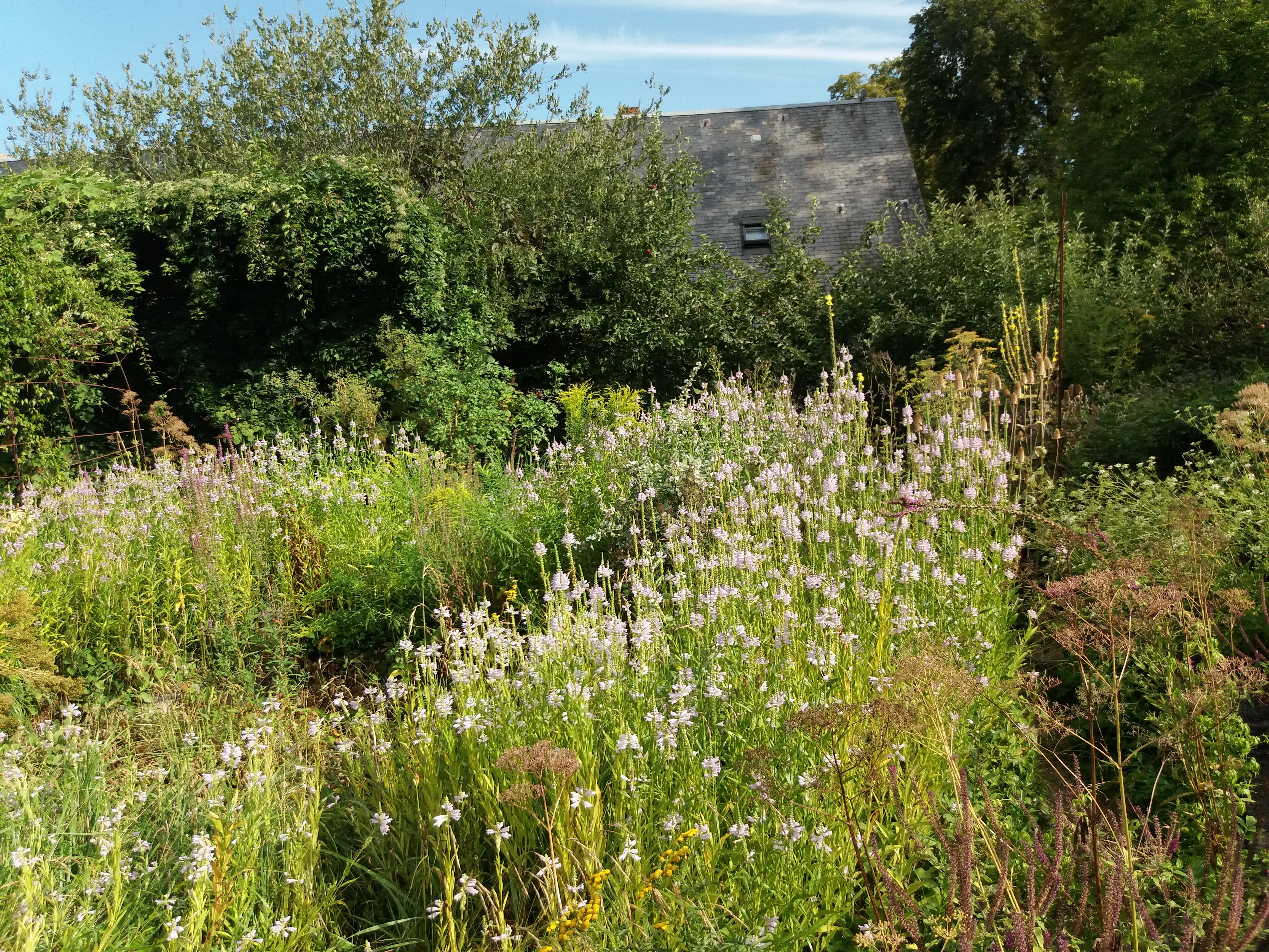 Photo n° 22 de l'avis de Pascaly.a fait le 14/08/2019 à 14:23