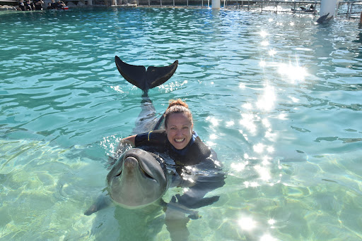 Tour Agency «Miami Swim With Dolphin Tours», reviews and photos, 247 SW 8th St, Miami, FL 33130, USA