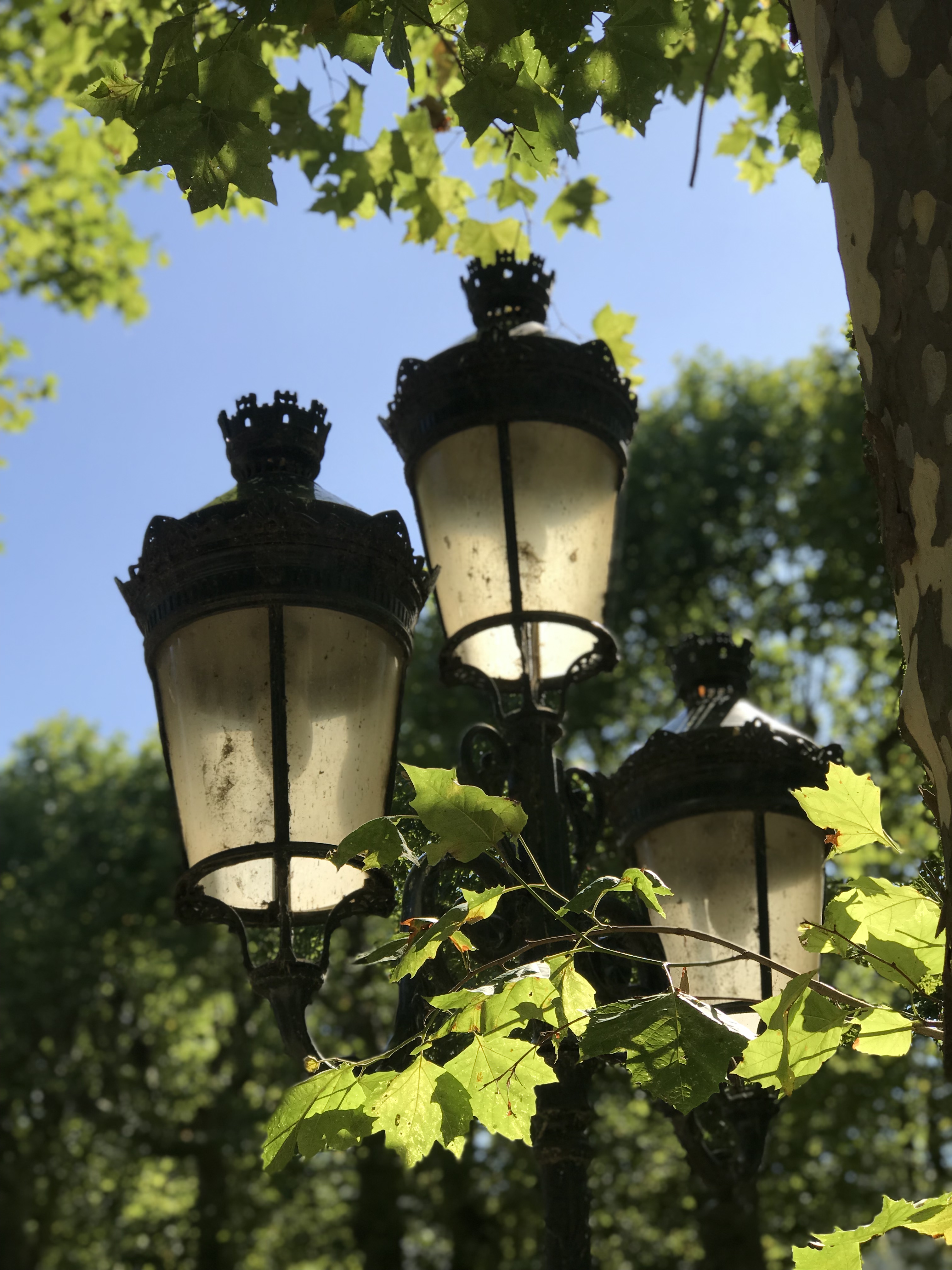 Photo n° 3 de l'avis de thierry.h fait le 30/07/2019 à 12:19