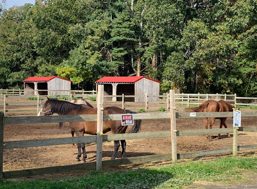 Tourist Attraction «C and L Stables», reviews and photos, 1095 Ives Rd, East Greenwich, RI 02818, USA