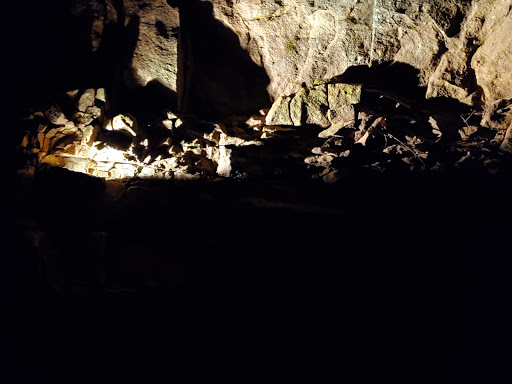 Non-Profit Organization «Lost River Cave», reviews and photos, 2818 Nashville Rd, Bowling Green, KY 42101, USA