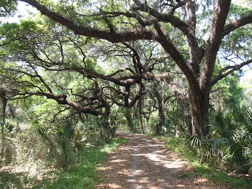 Nature Preserve «Marshall Hampton Reserve», reviews and photos, 3115 Thornhill Rd, Winter Haven, FL 33880, USA