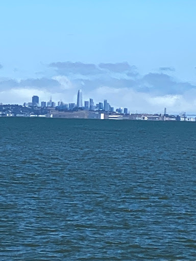 Sporting Goods Store «Boardsports California», reviews and photos, 1603 Coyote Point Dr, San Mateo, CA 94401, USA