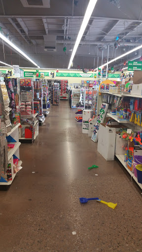 Dollar Store «Dollar Tree», reviews and photos, 2738 E 17th Ave, Springfield, TN 37172, USA