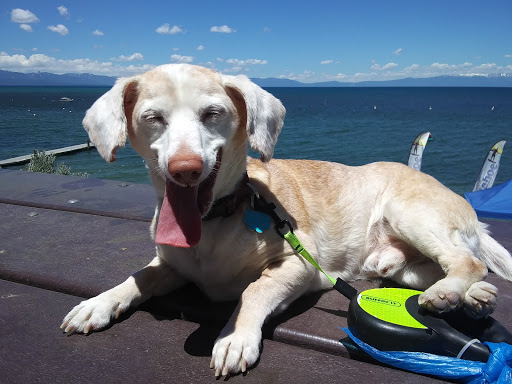 Nature Preserve «Effie Yeaw Nature Center», reviews and photos, 2850 San Lorenzo Way, Carmichael, CA 95608, USA