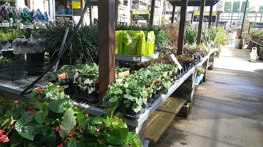 Garden Center at The Home Depot