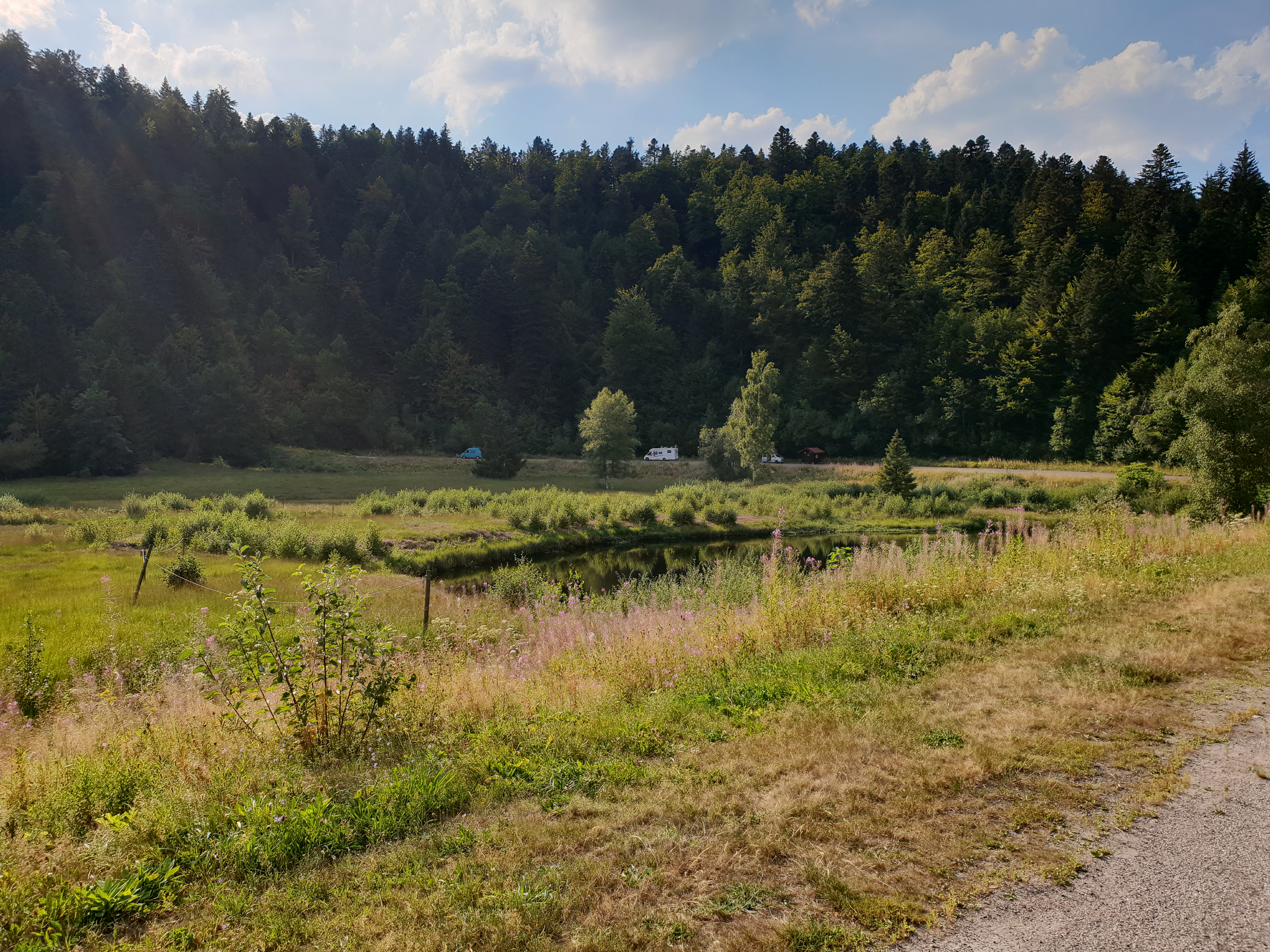 Photo n° 9 de l'avis de jouvin. fait le 05/09/2018 à 06:40
