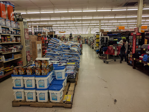 Discount Store «Ocean State Job Lot», reviews and photos, 13 Wells Rd, Wethersfield, CT 06109, USA