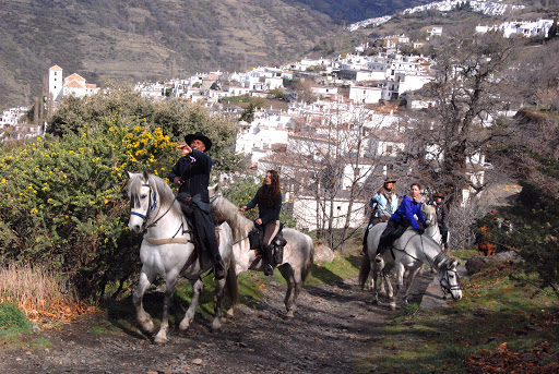 Riding Andalucia