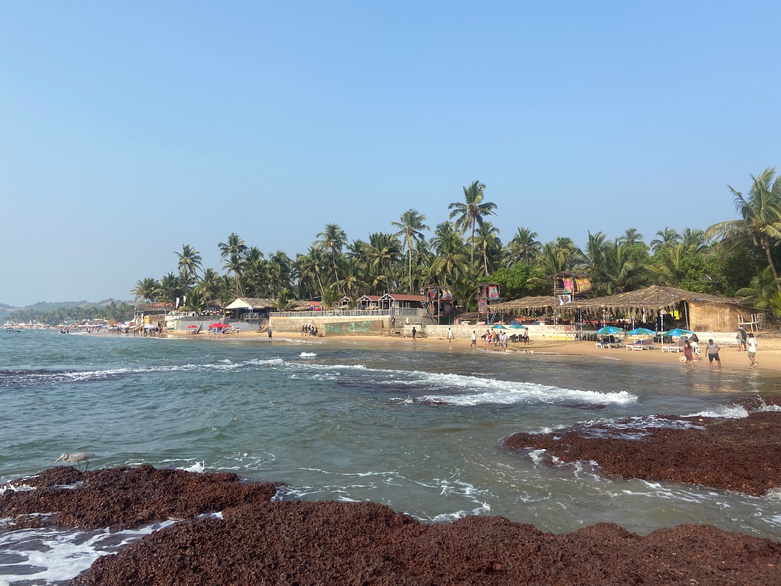 Foto di Spiaggia di Anjuna e l'insediamento
