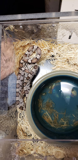 Pet Supply Store «Pet Den», reviews and photos, 1209 Nederland Ave, Nederland, TX 77627, USA