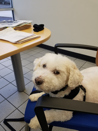 Ford Dealer «Northside Ford Truck Sales, Inc.», reviews and photos, 6221 NE Columbia Blvd, Portland, OR 97218, USA